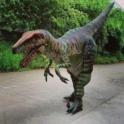 Dinossauro Raptor Venda de fato de dinossauro real