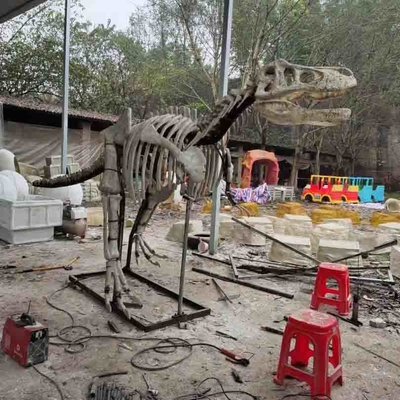 Réplica de crânio de dinossauro em tamanho real para ambientes externos/internos, réplicas de fósseis de dinossauros