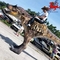 Fantasia de Dinossauro T Rex adulto tamanho personalizado para parque temático