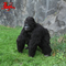 Fato de Gorila Animatrônico Fantasia de Gorila Realista Idade Adulto