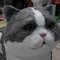 Gato animatrônico realista em tamanho real, gato adorável falante interativo