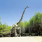 Réplica de esqueleto de dinossauro realista/réplica do mundo jurássico para interior