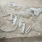 Réplica de dinossauro em tamanho real, fóssil de réplica de dinossauro para atividades de negócios