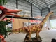 O dinossauro exterior do Brachiosaurus animou o modelo sem redução Animatronic