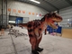 Carnotaurus adulto modelo escondido do traje do dinossauro do pé