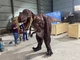 Peso leve realístico do traje do dinossauro do tamanho adulto respirável