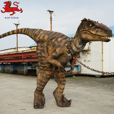 Bom preço Fato de Velociraptor Animatronic, Fato de Dinossauro Adulto Artificial on-line