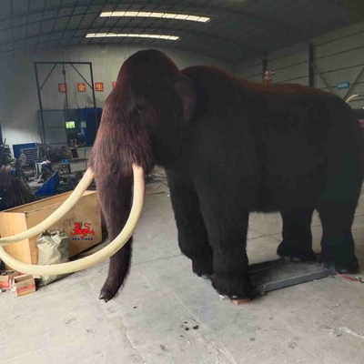 Tamanho Animais animatrônicos realistas personalizados Mamute Modelo Adulto Idade