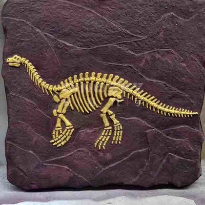 Bom preço Modelo de réplica de esqueleto de dinossauro ao ar livre em tamanho natural aprovado pela RoHS on-line
