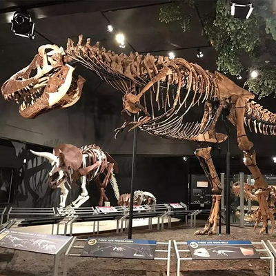 Réplica de esqueleto de dinossauro resistente às intempéries / Réplicas de osso de dinossauro