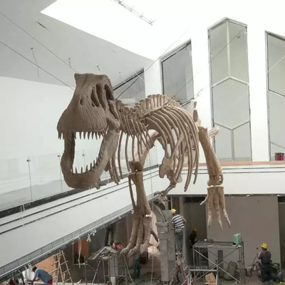 Bom preço Réplica de esqueleto de dinossauro para ambiente interno, idade jovem, 12 meses, garantia on-line