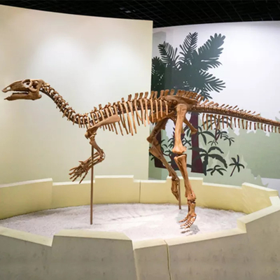 Bom preço Réplica de esqueleto de dinossauro de shopping center Tamanho personalizável Crânio de dinossauro fóssil on-line