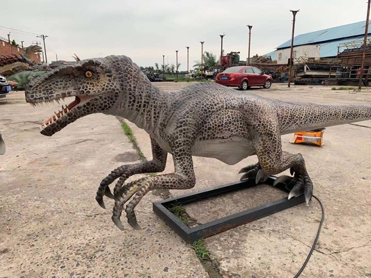 Dinossauro Animatrônico Realista em Tamanho Real Velociraptor Modelo de Parque Temático Dinossauro