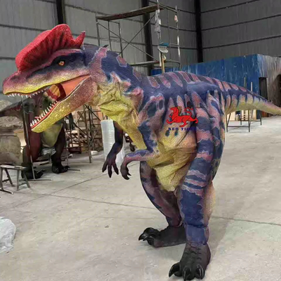 Bom preço. Fantasia de Dinossauro com Impressão 3D Personalizada para Parques Temáticos e Museus on-line