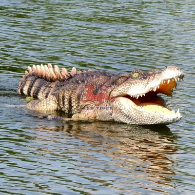 Novo Crocodilo Robô de Natação com Controle Remoto e Animatrônico Realista