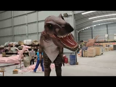 Personalização Traje realista de dinossauro Modelo de Carcharodontosaurus